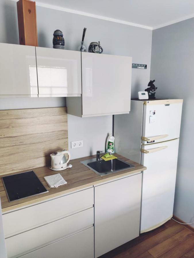 קובנה Old Slabada Apartments מראה חיצוני תמונה